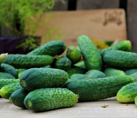 Ogórek krótki (kg)