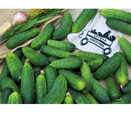 Ogórek krótki (kg)