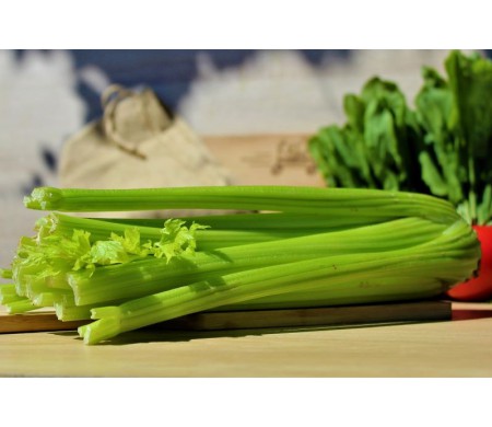 Seler naciowy (szt.)