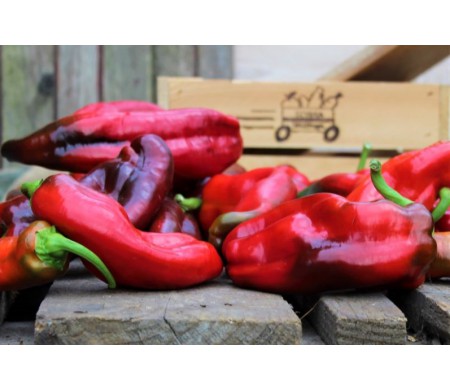 Papryka ramiro (200g)